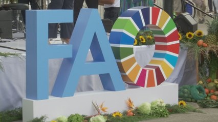 Panamá avanza en reducción del hambre, pero enfrenta reto de la obesidad, advierte la FAO