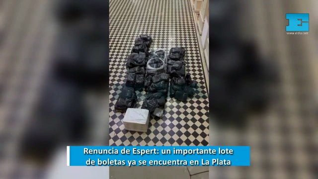 Espert bajó su candidatura: ¿qué pasará con las boletas impresas en La Plata?