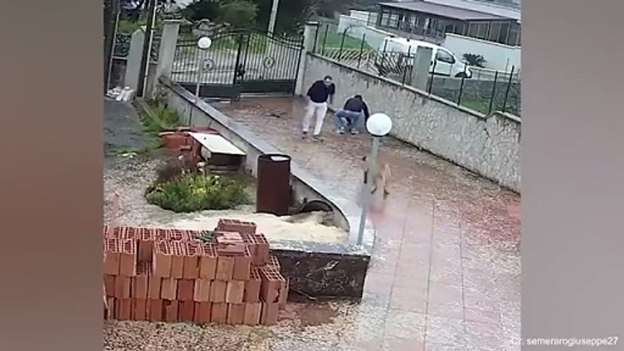 Funny Animals Compilation 2025 Best Funny Animal Reactions and Cute Pet Fails Try Not to Laugh