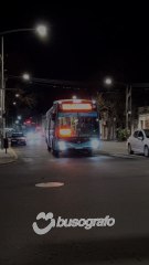 Busografo Rosario: Nuovobus Cittá Urbano 2025