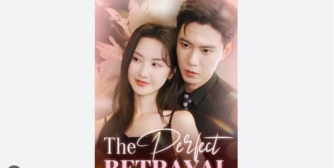 The Perfect Betrayal Full Chinese Drama - English Sub