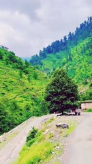 ✨ Lost in the winding roads and breathtaking beauty of Gurez Valley