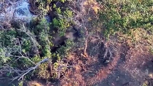 Росгвардия. Крым. Часовой. Выпуск от 05.10.2025