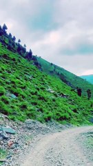 Every road feels like a painting come to life ❤️ #