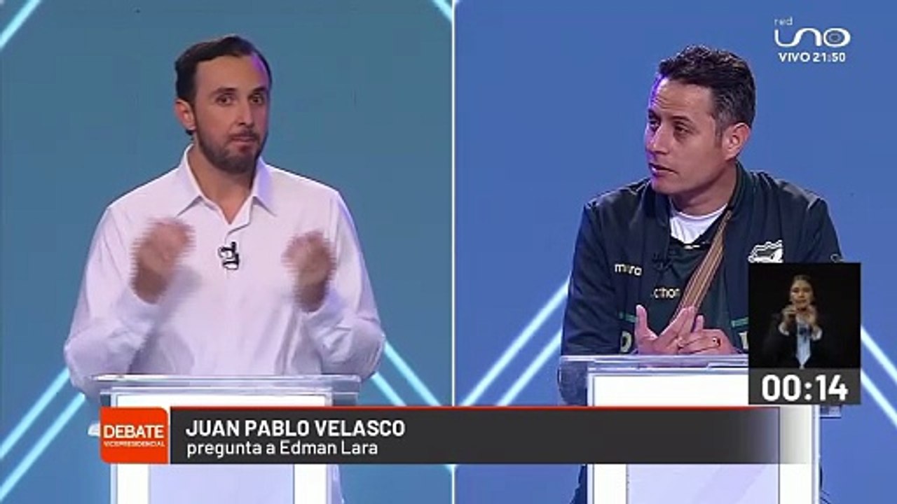 rol vicepresidente
