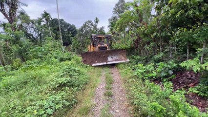 The D6R XL Bulldozer Makes Old Plantation Roads Functional Again