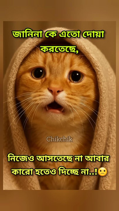 সিঙ্গেলদের মনোভাব🤣