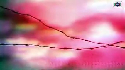 Jangloos.. Episode.14.. Classic PTV Famous Drama 🎭