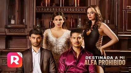 Destinada a Mi Alfa Prohibido Completa | ReelShort