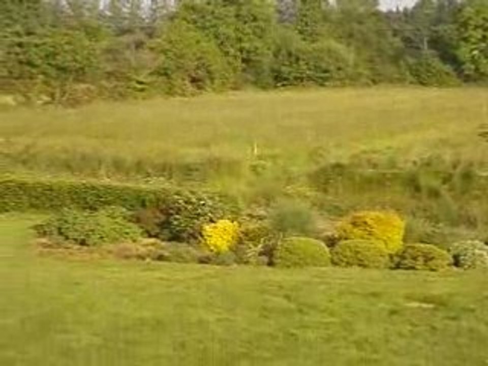 olivier et la saxo de passage