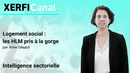 Logement social : les HLM pris à la gorge [Anne Césard]