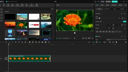 How to Crop Your Video into a Circle in CapCut | Step-by-Step