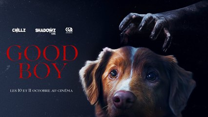 Good Boy - Official Trailer - Horror, Dog Movie vost