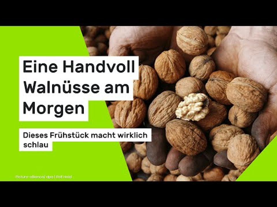 Eine Handvoll Walnüsse am Morgen: Studie beweist - dieses Frühstück macht wirklich schlau