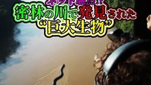 ネット騒然!密林の川で発見された“巨大生物”