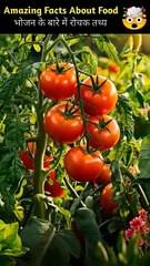 टमाटर खाने के गजब के फायदे _ Amazing Tomato Facts _ #shorts #fact #factsinhindi