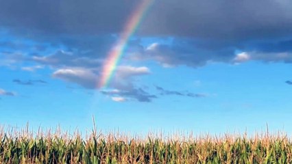 natural view video – Mountain Stream Flow