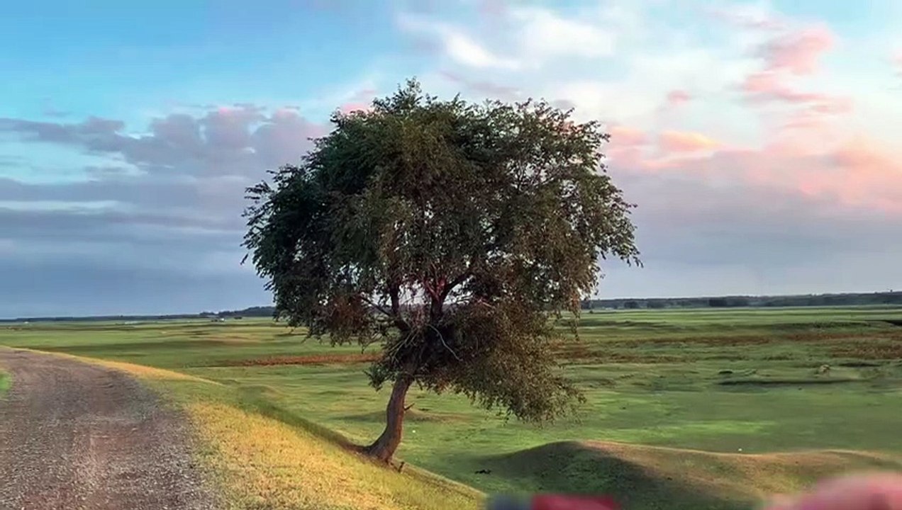 natural view video – Flowing River in Mountains