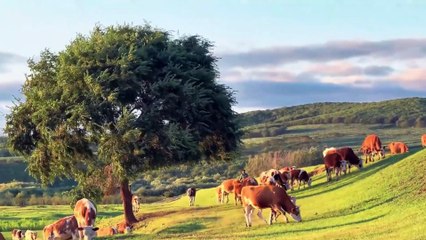 natural view video – Sunset Over the Lake