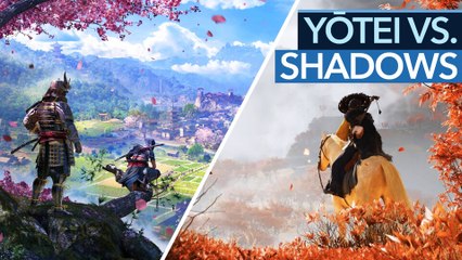 Assassin's Creed vs. Ghost of Yōtei: Welches Open World-Abenteuer hat denn aber dann die Nase vorn?