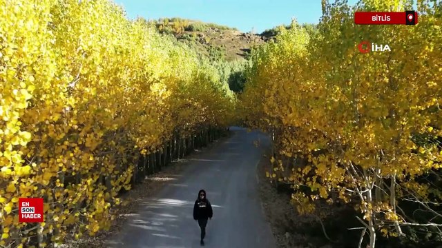 Bitlis Nemrut’ta kartpostallık sonbahar manzaraları