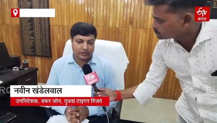 लखीमपुर खीरी में 4 बच्चों के पिता को खा गया तेंदुआ; सिर को जबड़े में दबोचकर घसीटते हुए ले गया था जंगल