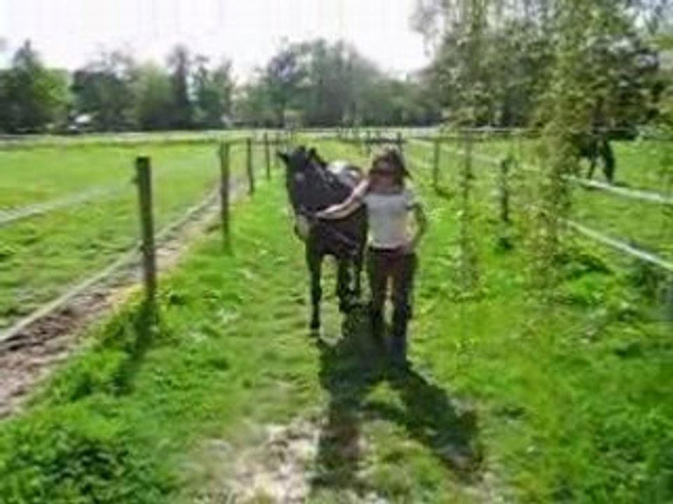 Dédé quelques semaines après...