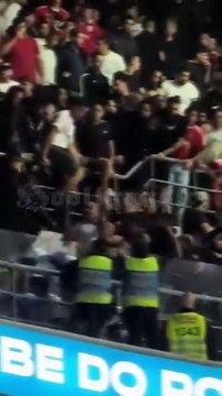 Confrontos adeptos do Benfica