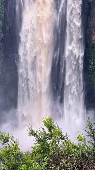 THOMSON'SWATER FALLS