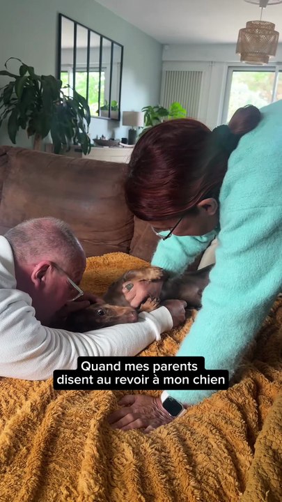 Mon chien versus moi