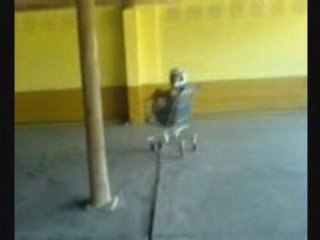 Seb et juju avec un cadi