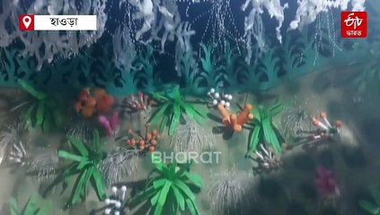 কোজাগরী পূর্ণিমায় জ্বলজ্বলে 'মা লক্ষ্মীর গ্রাম', টেক্কা দেয় দুর্গাপুজোকে