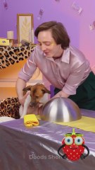 Making the coolest DIY plate for my pet! 🐶🐾🎨 #petlovers #crafty