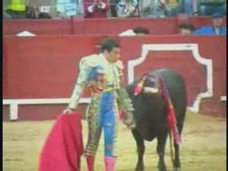 Novillada en Aranjuez (27/04/08)