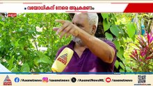 'പിന്നാലെ വന്ന് അടിച്ചു' കണ്ണൂരിൽ വയോധികന് മർദനം, അക്രമം കാറിന് സൈഡ് നൽകാത്തതിനെ തുടർന്ന്