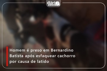 Homem é preso em Bernardino Batista após esfaquear cachorro por causa de latido