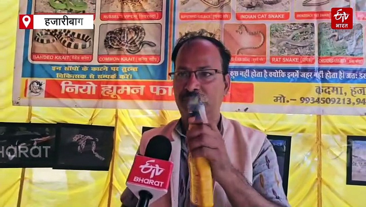 सांप से बचाव के तरीके, स्नैक मैन मुरारी सिंह से जानें कौन-सा सांप जहरीला है और कौन नहीं!