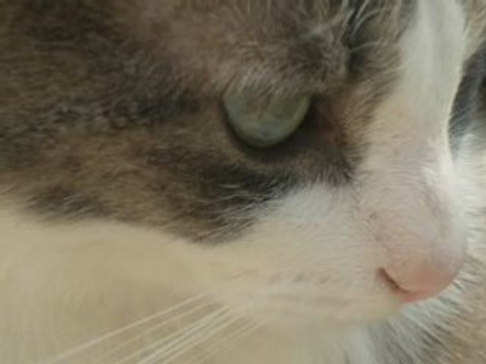 JIJI