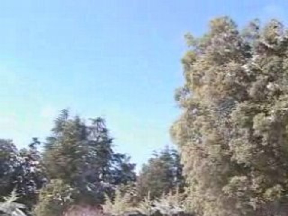 AVSEQ01