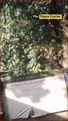 Kanpur Police Brutality Caught on Camera | Student Beaten & Abused by Outpost In-Charge | DCP Orders Action