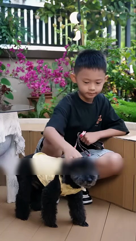  Cinta terlarang ceo dan anak pembantu | forbidden love of ceo and maid's daughter | drama china sub indo