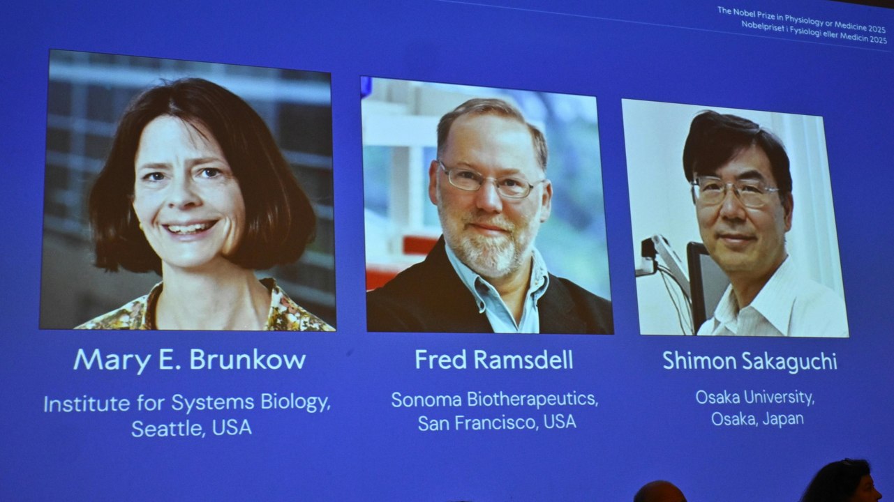 Was man über die diesjährigen Medizin-Nobelpreisträger wissen muss