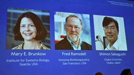 Was man über die diesjährigen Medizin-Nobelpreisträger wissen muss