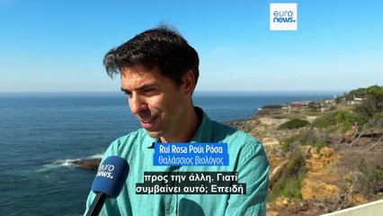 Πορτογαλία: Γιατί αυξάνονται τα περιστατικά αλληλεπίδρασης μεταξύ όρκας και σκαφών;