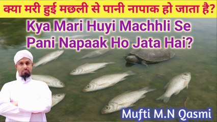Agar Machhli Ya Jhinga Pani Mein Mar Jaye To Kya Pani Napaak Ho Jata Hai? #paknapak