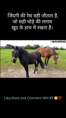 जिंदगी की रेस वही जीतता है जो सही घोड़े की लगाम खुद के हाथ में रखता है/ सी Dailymotion Video