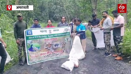 मेळघाटच्या अतिसंरक्षित जंगलात प्लास्टिक, काचेच्या बॉटल! वन्यजीवांच्या रक्षणासाठी विशेष स्वच्छता मोहीम