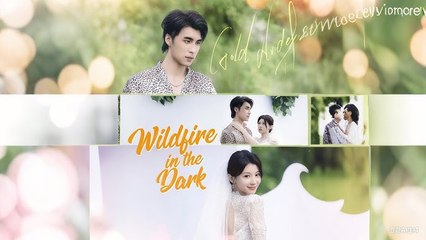 Wildfire In The Dark Full movie