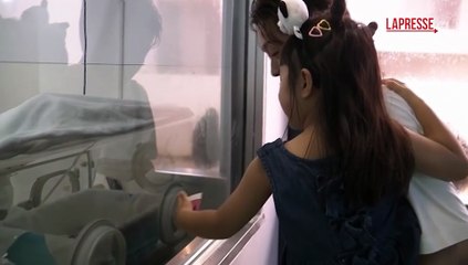 Giappone, cucciolo di pinguino debutta al parco di Shirahama