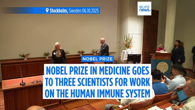 US and Japanese scientists win 2025 Nobel Prize in medicine for immune tolerance research